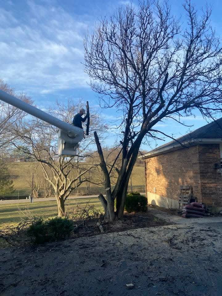 Bucket truck operator trimming next to a brick home