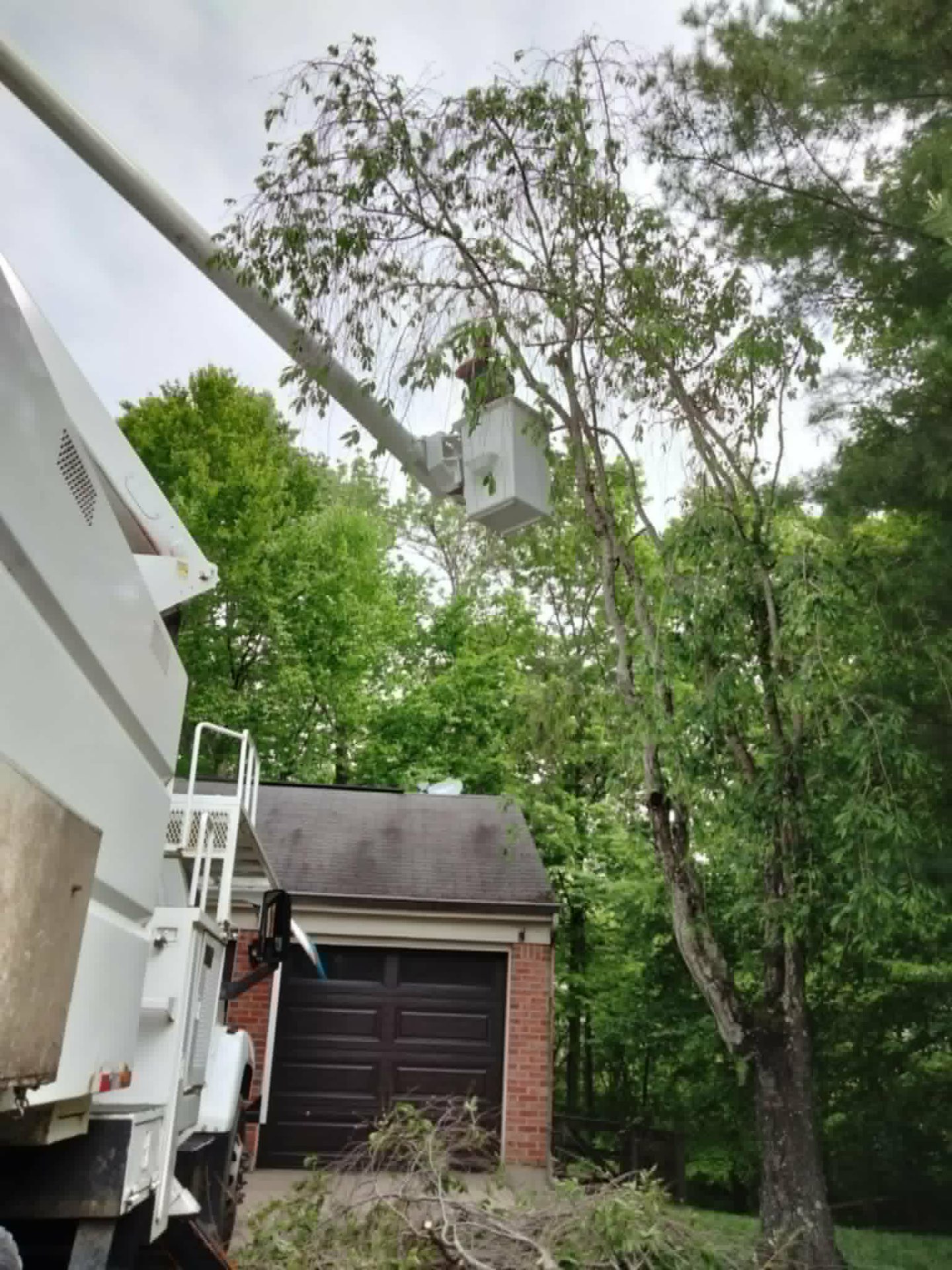 Bucket truck working a tree over a residential garage