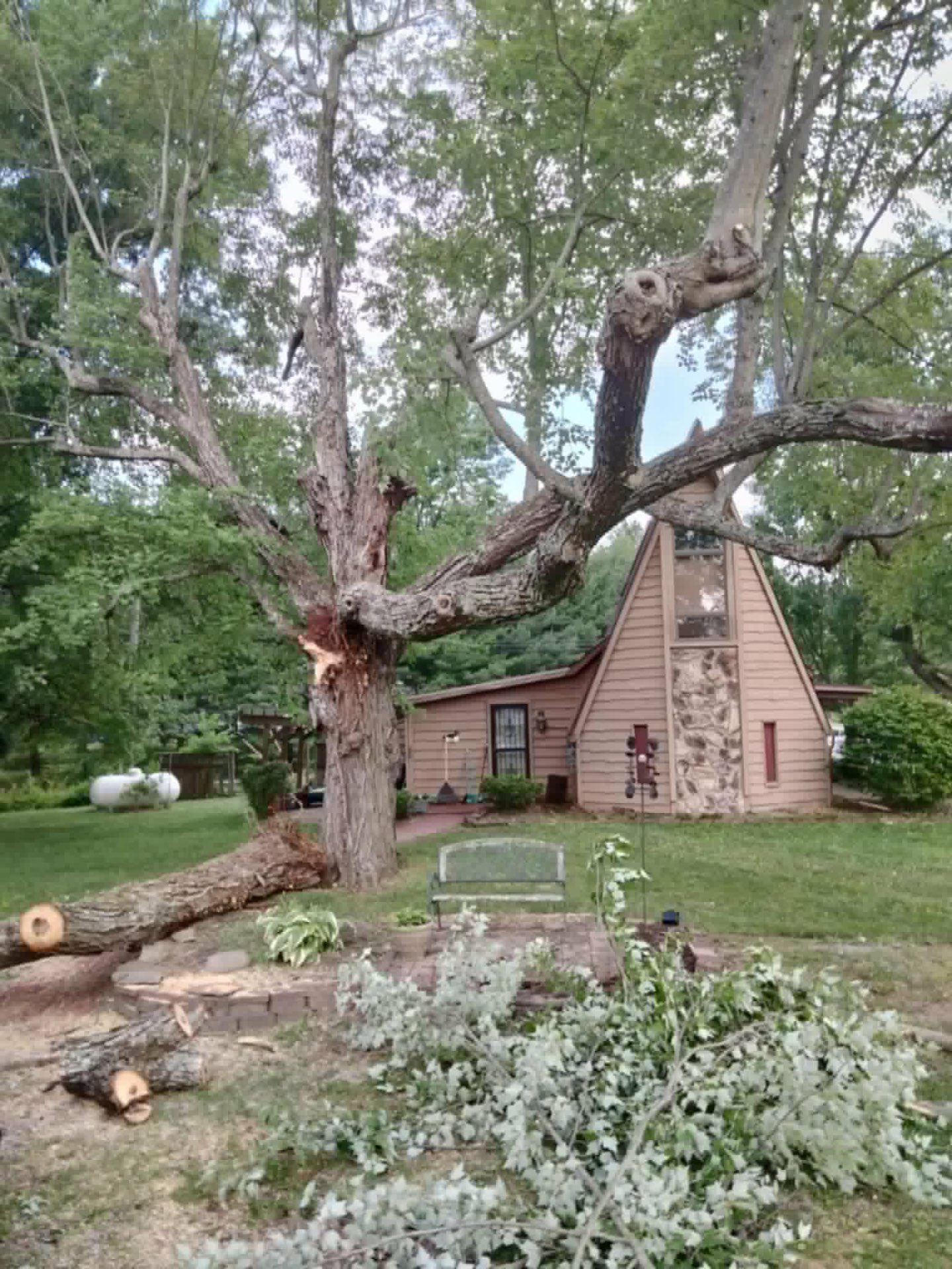 Massive tree leaning over an A-frame home awaiting removal