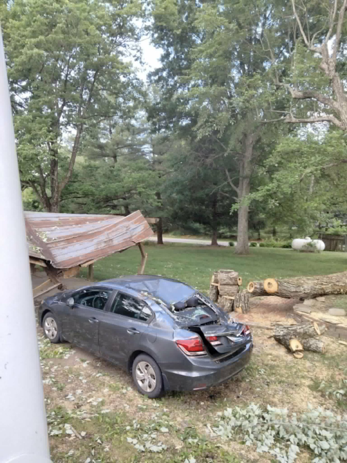 Storm-felled tree crushing a sedan and collapsing a carport roof