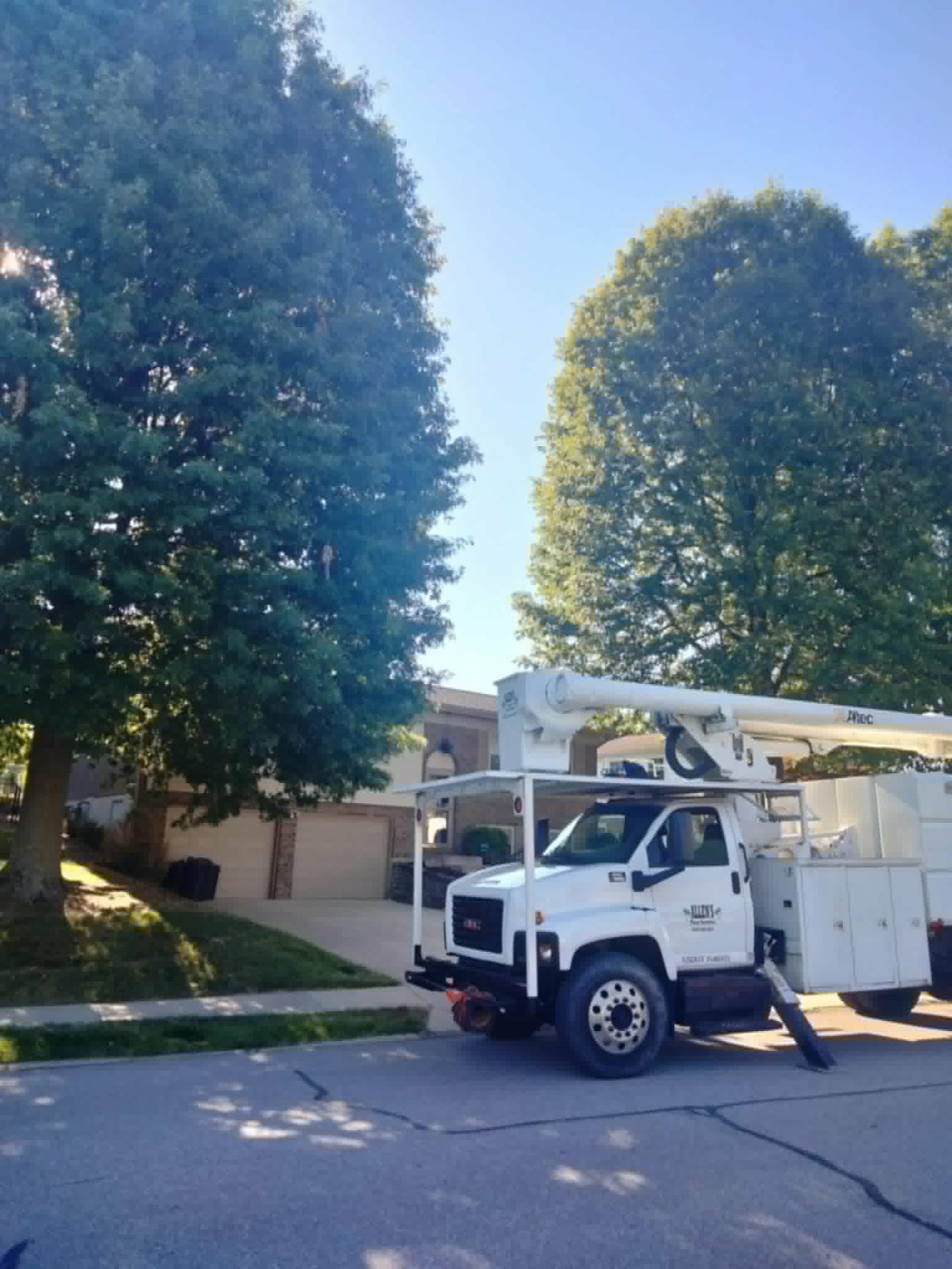 Allen's Tree Service bucket truck parked on a residential street